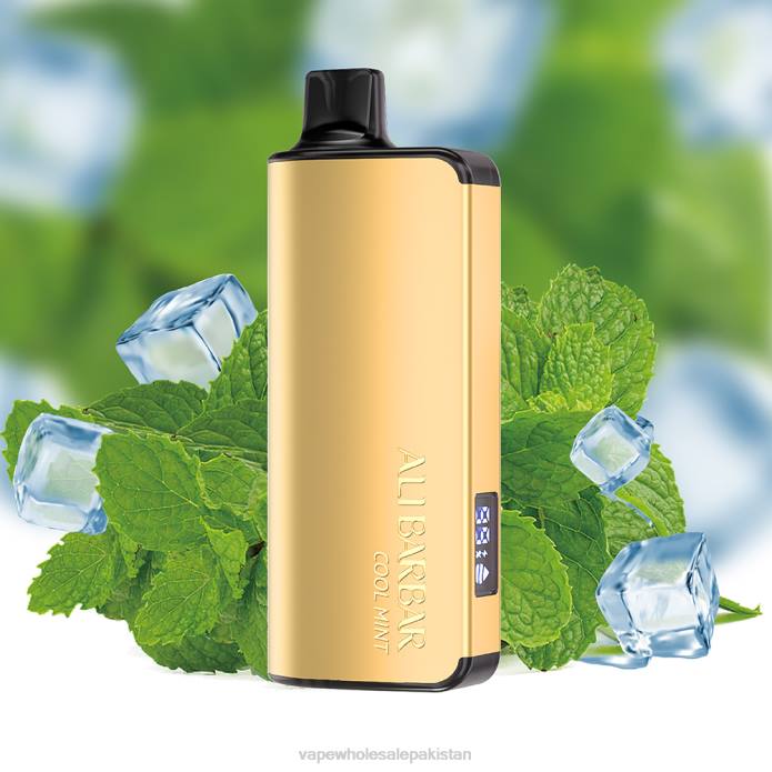 Cheapest Vape Wholesale 284D18 Alibarbar Ingot 9000 Disposable Vape Cool Mint