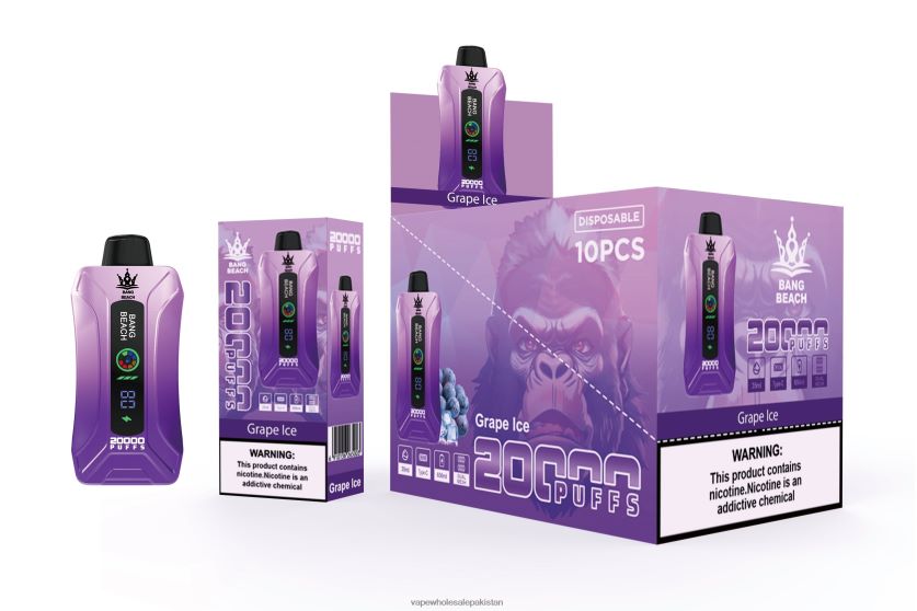 Bang Beach 20000 Puffs Smart Screen Vape FL648810 - Cheapest Vape Wholesale Grape Ice