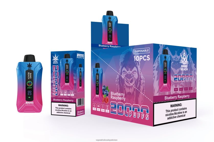 Bang Beach 20000 Puffs Smart Screen Vape FL648812 - E Cig Wholesale Blueberry Raspberry