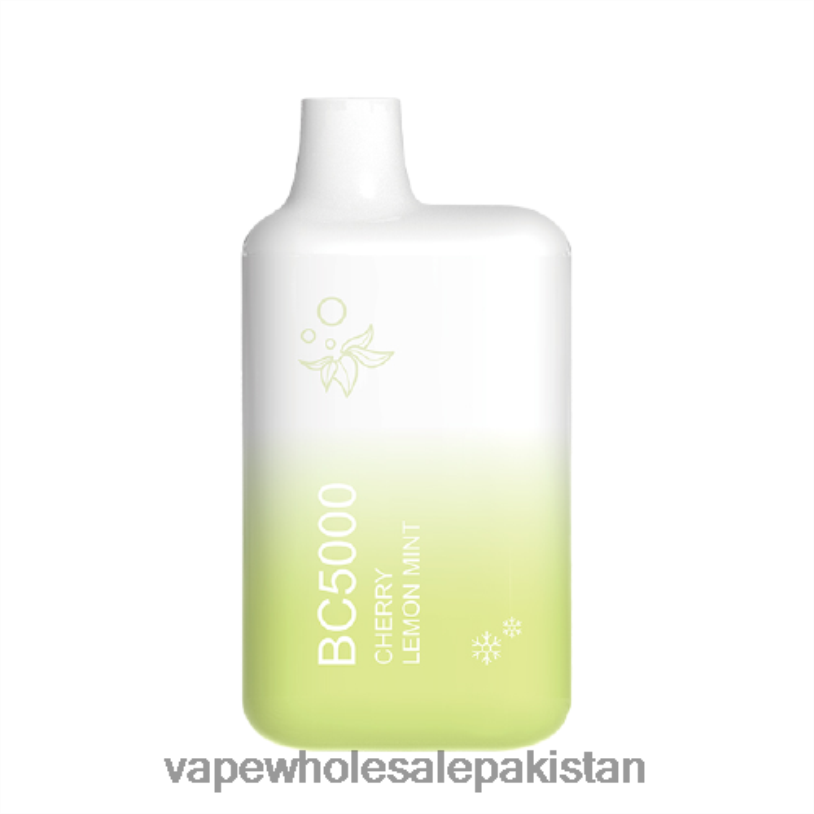 Vape Wholesale Prices Lemon Mint D42RL302 ELFBAR BC5000