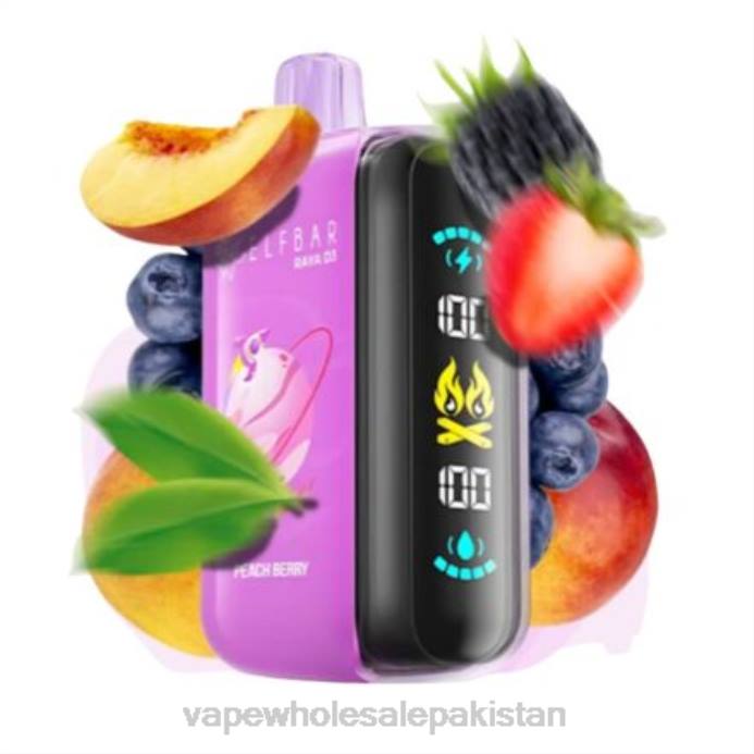 Elf Bar Raya D3 25000 - D48Z1 Disposable Vape Wholesale Pakistan