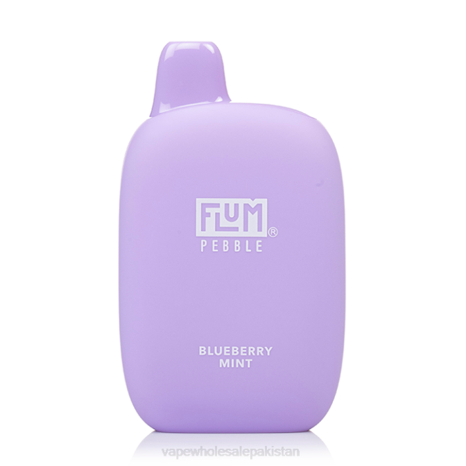 FLUM PEBBLES 6000 PUFFS 88J423 Blueberry Mint Vape Wholesale Prices