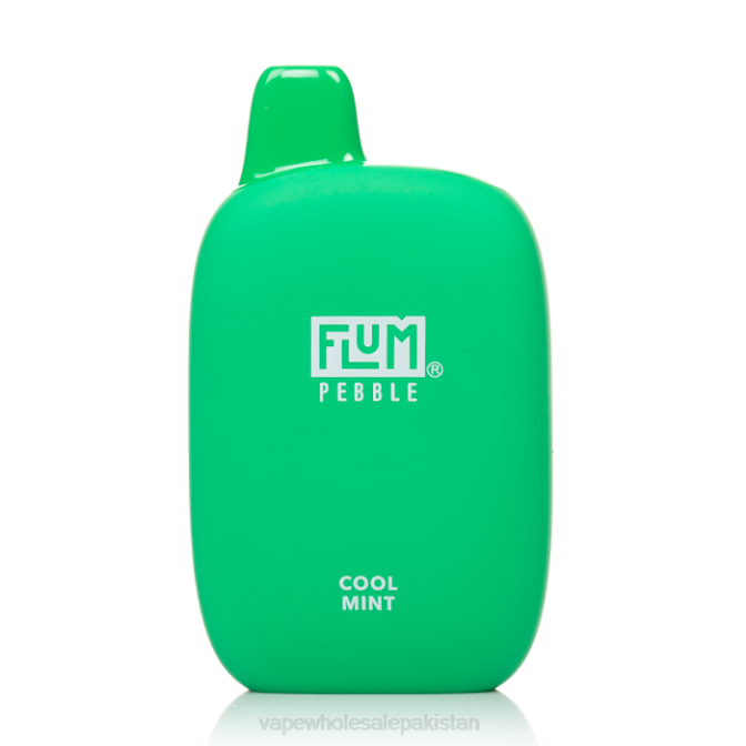 FLUM PEBBLES 6000 PUFFS 88J426 Cool Mint E Cigarette Wholesale