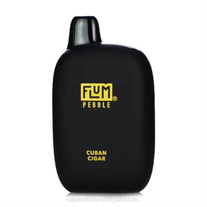 FLUM PEBBLES 6000 PUFFS 88J428 Cuban Cigar Electronic Cigarette Wholesale