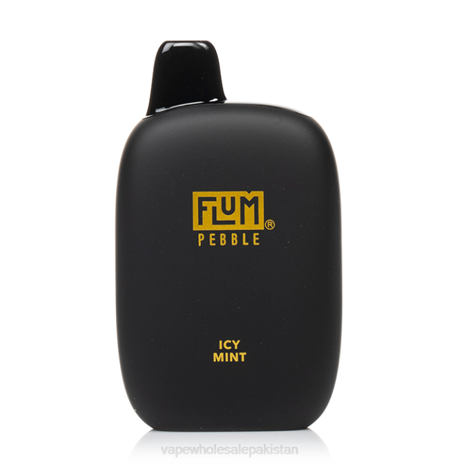 FLUM PEBBLES 6000 PUFFS 88J430 Icy Mint Vape Wholesale Prices