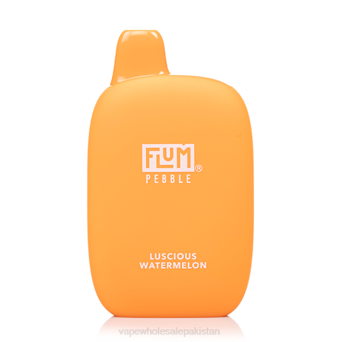 FLUM PEBBLES 6000 PUFFS 88J431 Luscious Watermelon Vape Companies In Pakistan