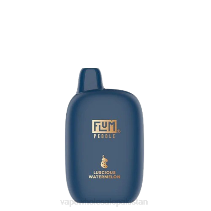 FLUM PEBBLES 6000 PUFFS (Christmas Edition) 88J47 Luscious Watermelon Electronic Cigarette Wholesale