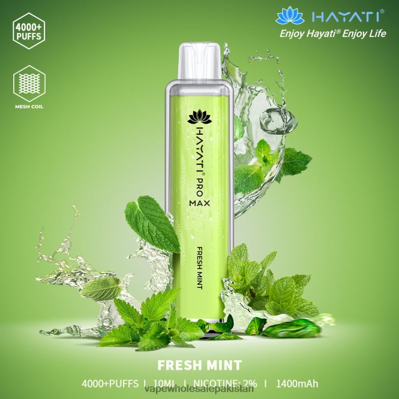 Electronic Cigarette Wholesale Supplier Fresh Mint D42RL158 Hayati Pro Max 4000