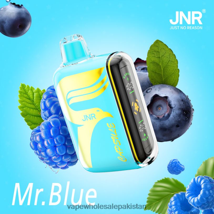 E Cig Wholesale Mr.Blue D42RL606 JNR CAPSULE
