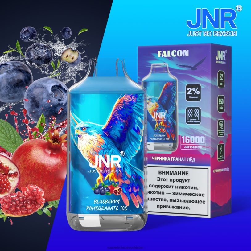Electronic Cigarette Wholesale Supplier Blueberry Pomegranate Ice D42RL698 JNR FALCON