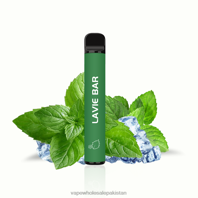 LAVIE BAR 2% Version 800 Puffs HLND2320 | Electronic Cigarette Wholesale Price Cool Mint