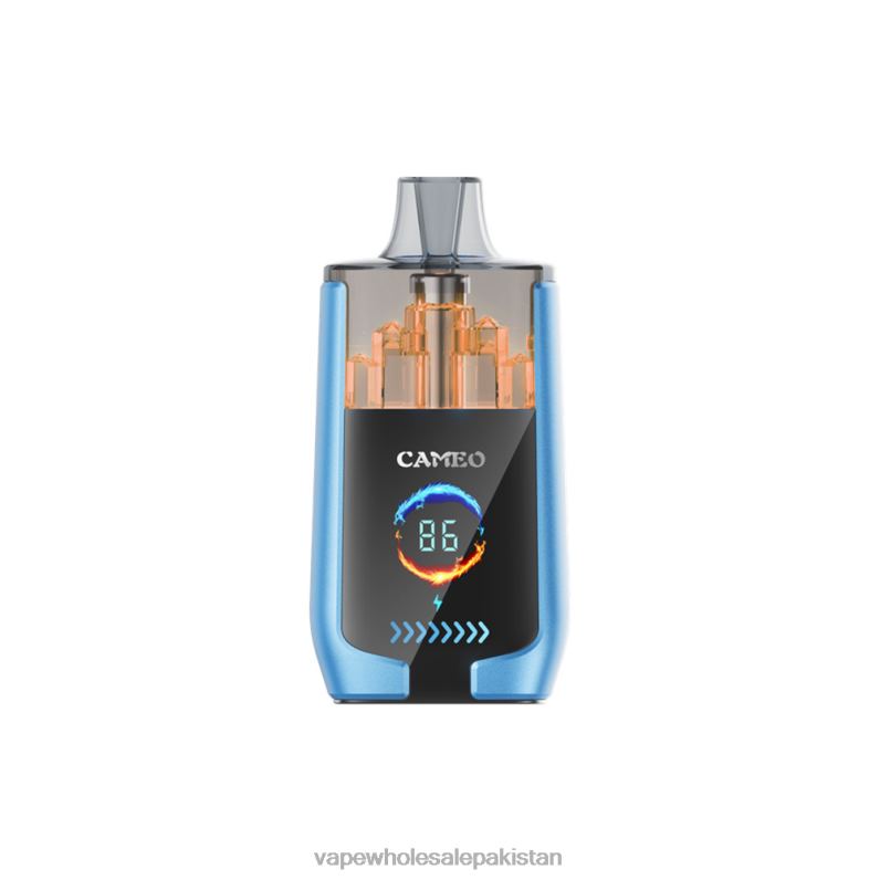 LAVIE CAMEO 30000 Puffs HLND213 | Vape Companies In Pakistan Strawberry Ice