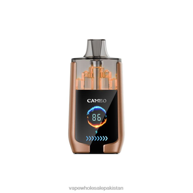 LAVIE CAMEO 30000 Puffs HLND218 | Electronic Cigarette Wholesale Supplier Coffee Ice