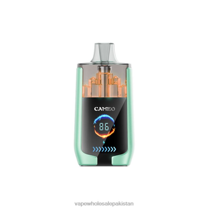 LAVIE CAMEO 30000 Puffs HLND220 | Electronic Cigarette Wholesale Price Double Apple