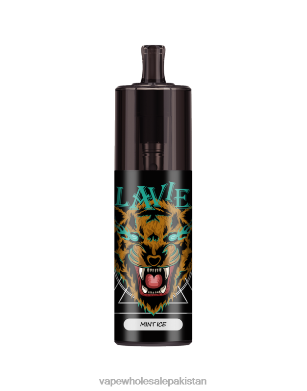 LAVIE COLOUR BAR 10000 Puffs Airflow Control HLND2335 | E Cigarette Wholesale Mint Ice