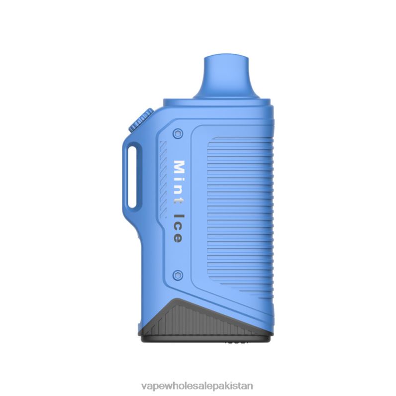 LAVIE Energy Box 15000 Puffs HLND272 | Vape Wholesale Prices Mint Ice