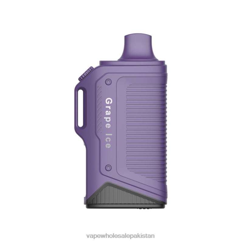 LAVIE Energy Box 15000 Puffs HLND276 | E Cig Wholesale Grape Ice