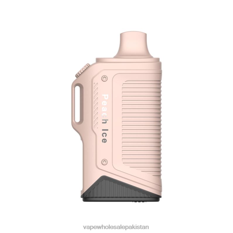 LAVIE Energy Box 15000 Puffs HLND279 | E Cigarettes Wholesale Suppliers Peach Ice