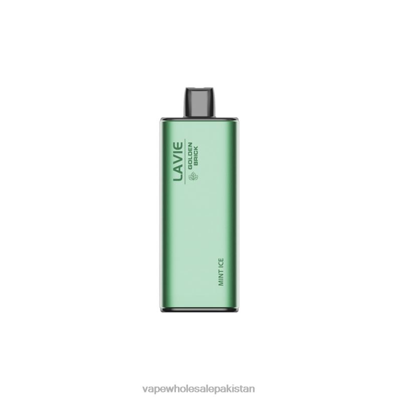 LAVIE GOLDEN BRICK 10000 Puffs HLND262 | Vape Wholesale Prices Mint Ice