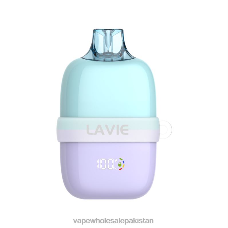 LAVIE INSIDER 12000 Puffs HLND291 | Vape Wholesale Pakistan Mint Ice