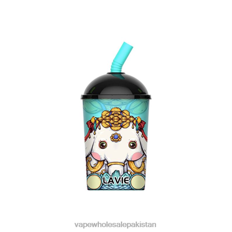 LAVIE Max Cup 8000 Puffs HLND2263 | Vape Companies In Pakistan Mint Ice