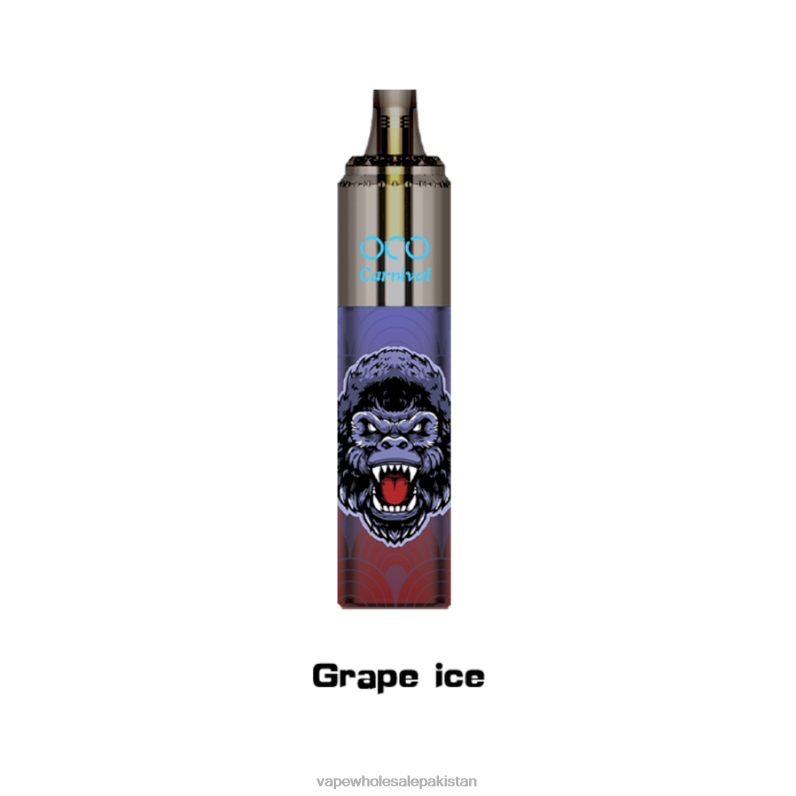 LAVIE OCO Carnival 10000 Puffs HLND2350 | Electronic Cigarette Wholesale Price Grape Ice
