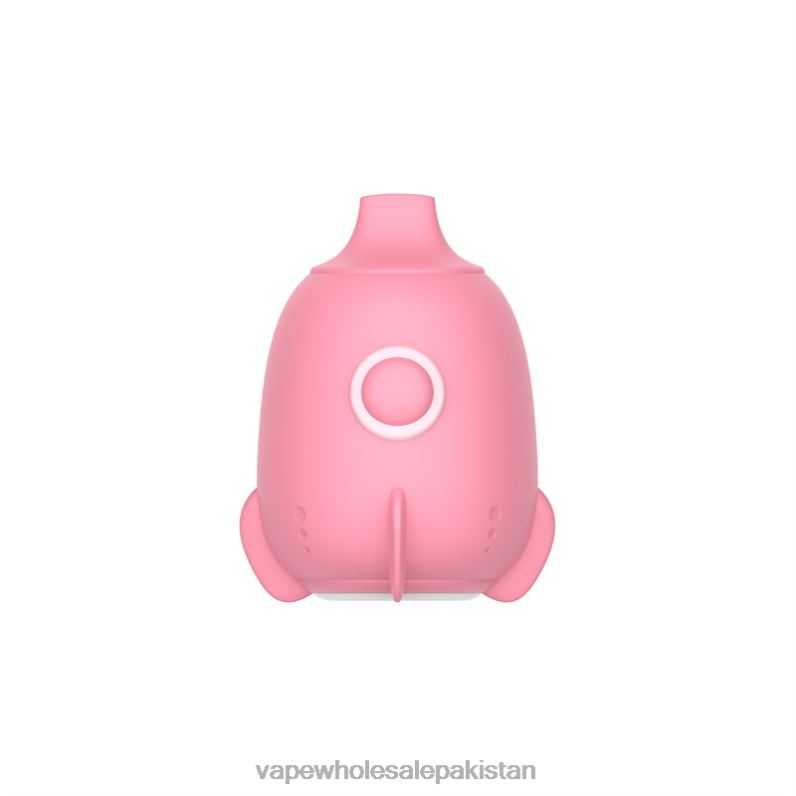 LAVIE Space Capsule 9000 Puffs HLND2220 | Electronic Cigarette Wholesale Price Peach Plum