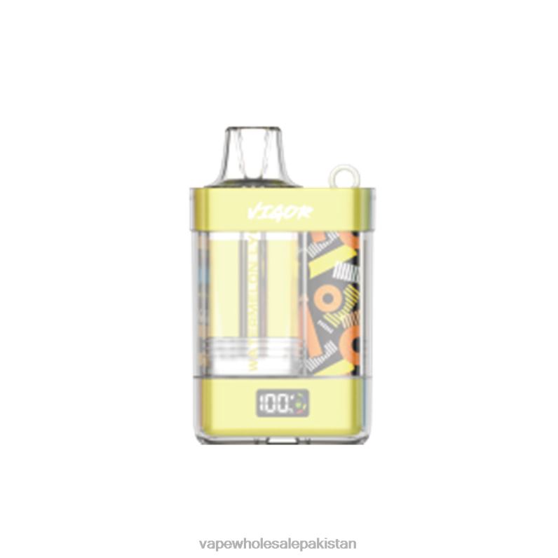 LAVIE VIGOR 15000 Puffs HLND211 | Vape Wholesale Pakistan Watermelon Lychee
