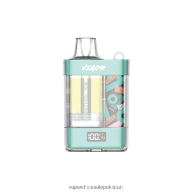 LAVIE VIGOR 15000 Puffs HLND22 | Vape Wholesale Prices Menthol Ice