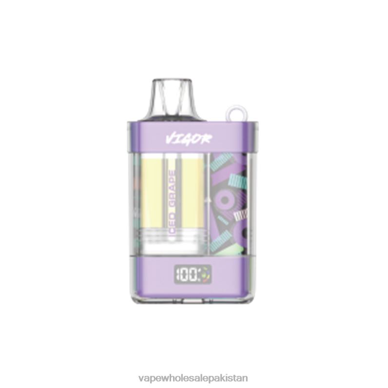 LAVIE VIGOR 15000 Puffs HLND28 | Electronic Cigarette Wholesale Supplier Iced Grape