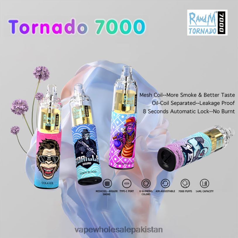 Vape Wholesale Pakistan Disposable D42RL1 RandM Tornado 7000 5%