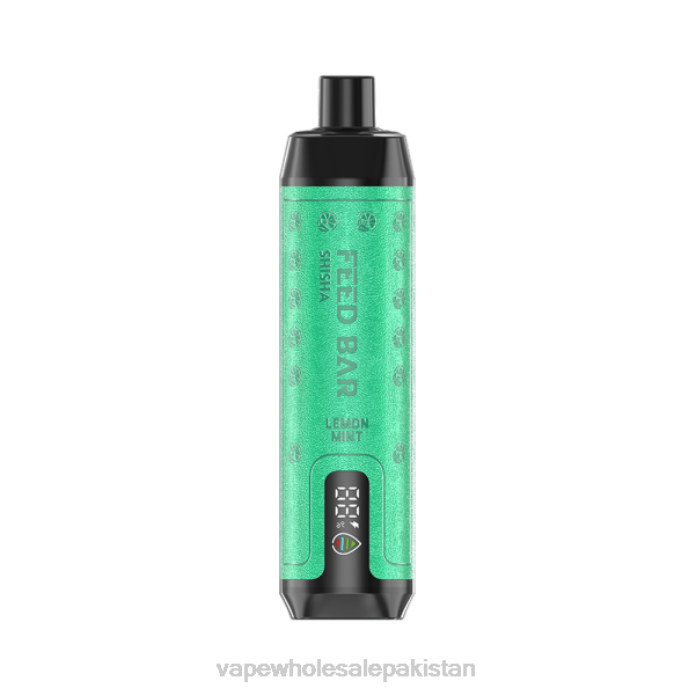 Vape Companies In Pakistan 284D101 Vapsolo SHISHA Disposable Vape Lemon Mint
