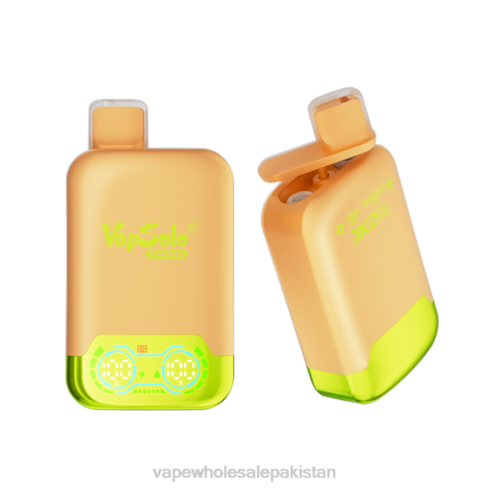 Cheapest Vape Wholesale 284D123 Vapsolo TWINS Disposable Vape Lemone Lime & Watermelon Ice