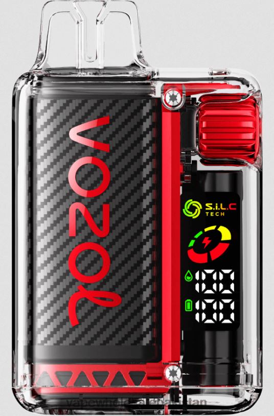 E Cigarette Wholesale Strawberry Raspberry Cherry D42RL5 VOZOL VISTA 16000/20000 5%