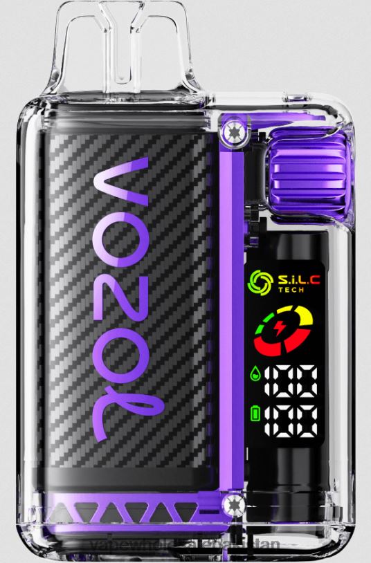 E Cigarettes Wholesale Suppliers Strawberry Mango D42RL9 VOZOL VISTA 16000/20000 5%