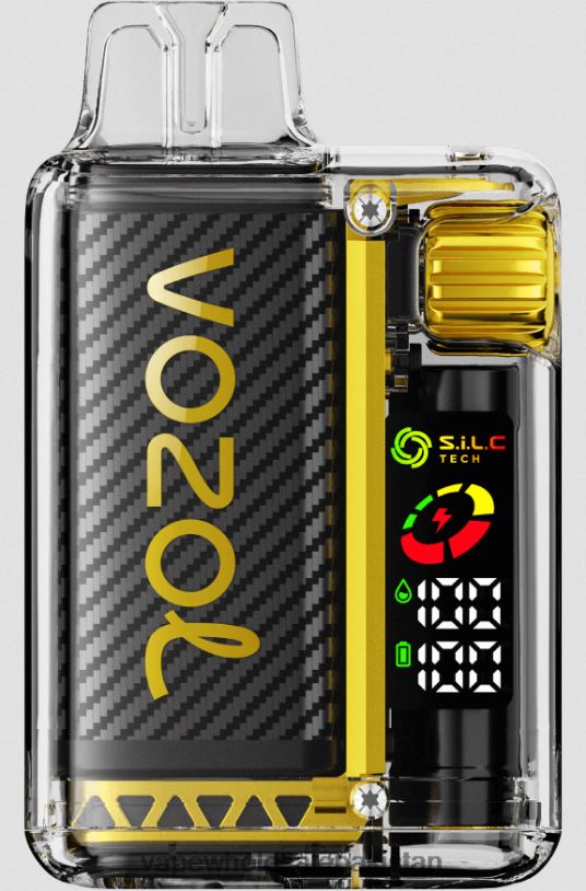 Electronic Cigarette Wholesale Supplier Dragon Fruit Banana Cherry D42RL8 VOZOL VISTA 16000/20000 5%