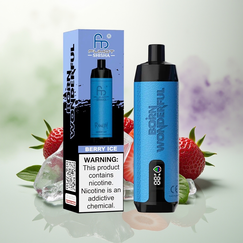 Wholesale Pakistan RandM Fumot Shisha 10000 Puffs Disposable Vape Berry Ice 5mg/ml Nicotine Contain
