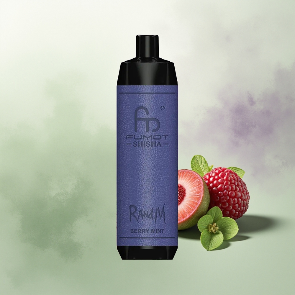 Wholesale Pakistan RandM Fumot Shisha 10000 Puffs Disposable Vape Berry Mint 5mg/ml Nicotine Contain