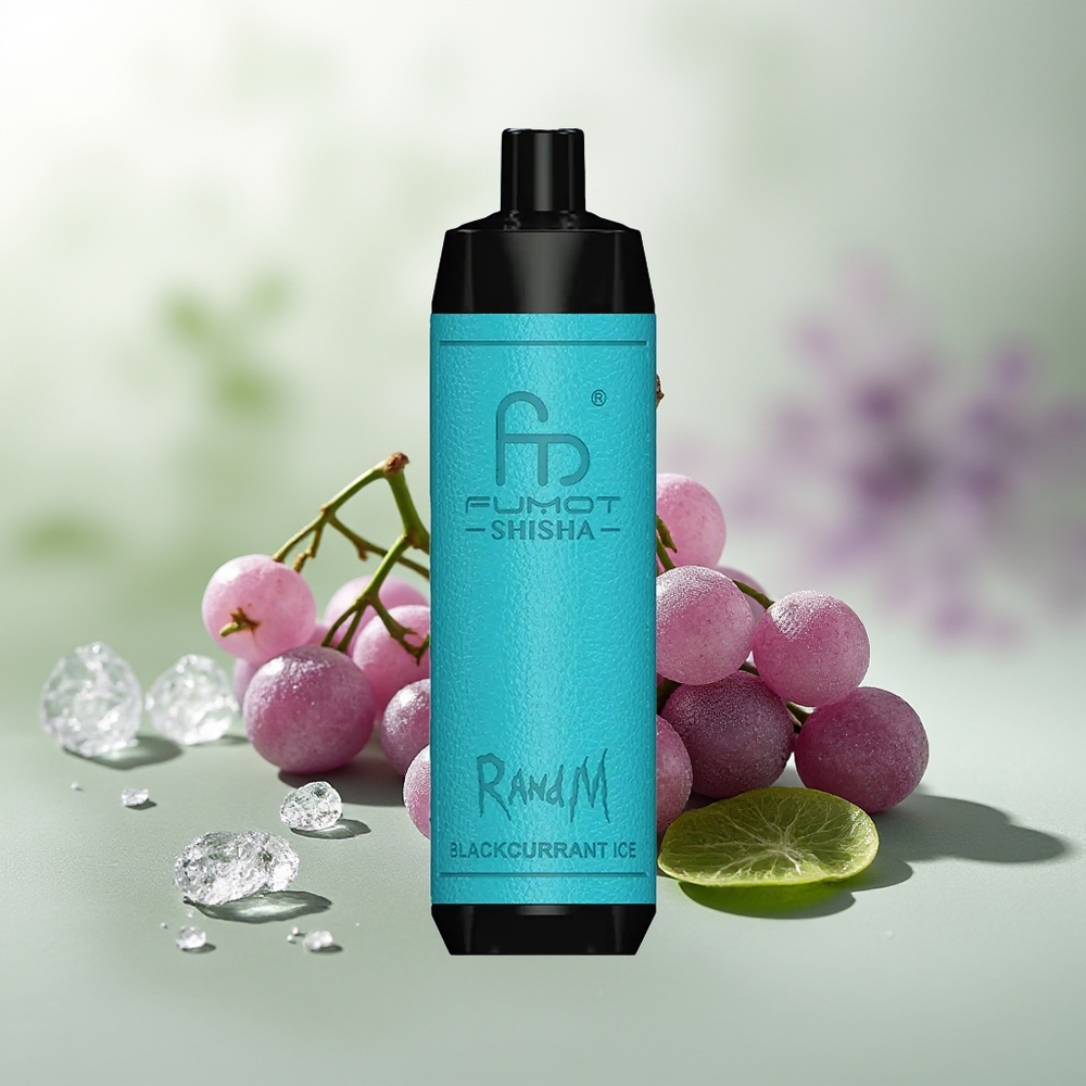 Wholesale Pakistan RandM Fumot Shisha 10000 Puffs Disposable Vape Blackcurrant Ice 5mg/ml Nicotine Contain