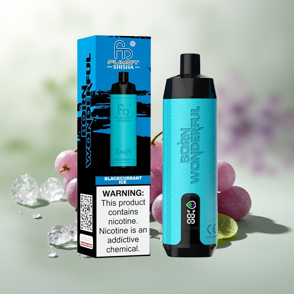 Wholesale Pakistan RandM Fumot Shisha 10000 Puffs Disposable Vape Blackcurrant Ice 5mg/ml Nicotine Contain
