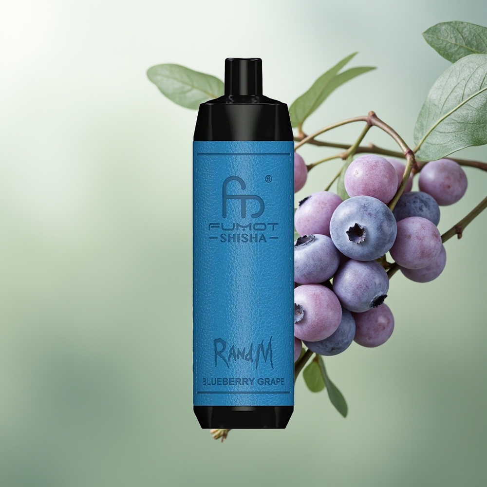 Wholesale Pakistan RandM Fumot Shisha 10000 Puffs Disposable Vape Blueberry Grape 5mg/ml Nicotine Contain