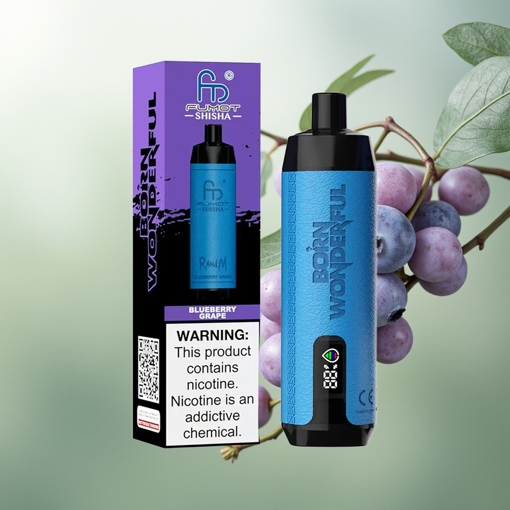 Wholesale Pakistan RandM Fumot Shisha 10000 Puffs Disposable Vape Blueberry Grape 5mg/ml Nicotine Contain