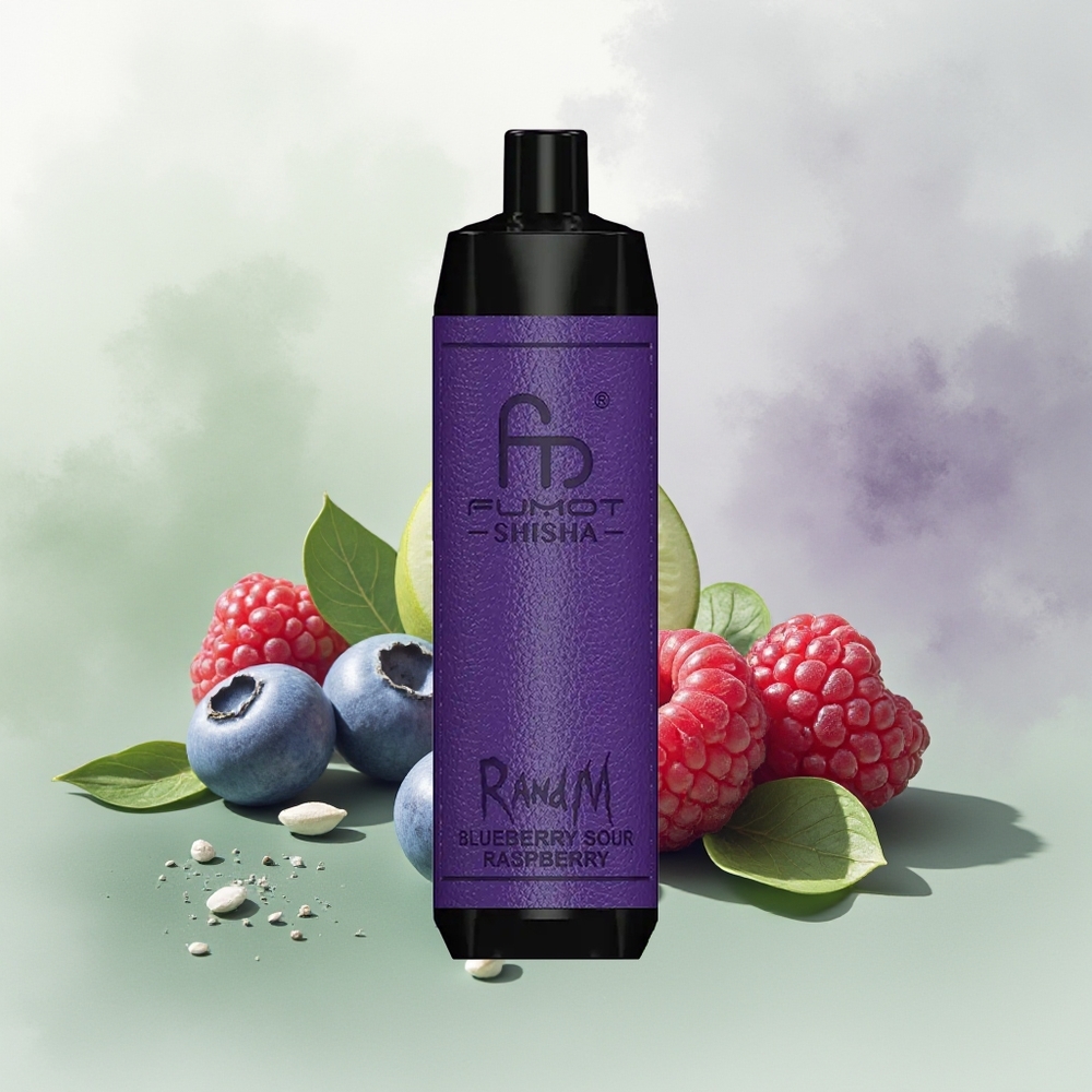 Wholesale Pakistan RandM Fumot Shisha 10000 Puffs Disposable Vape Blueberry Sour Raspberry 5mg/ml Nicotine Contain