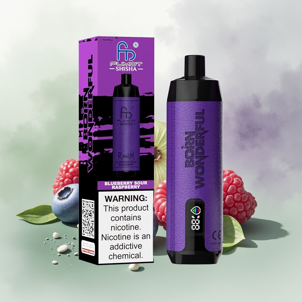 Wholesale Pakistan RandM Fumot Shisha 10000 Puffs Disposable Vape Blueberry Sour Raspberry 5mg/ml Nicotine Contain