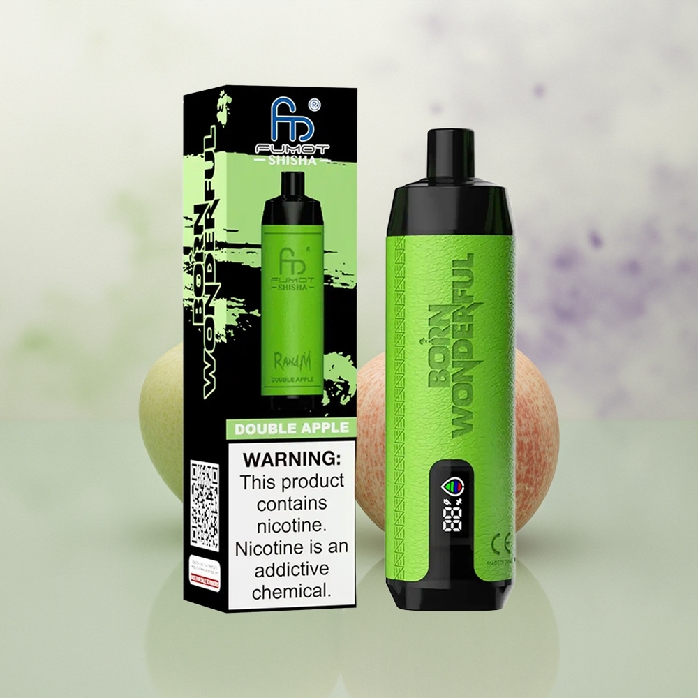 Wholesale Pakistan RandM Fumot Shisha 10000 Puffs Disposable Vape Double Apple 5mg/ml Nicotine Contain