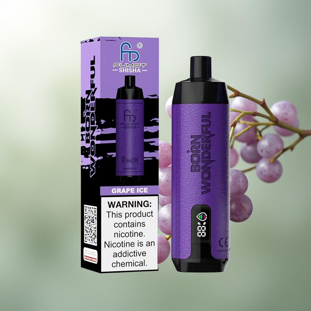 Wholesale Pakistan RandM Fumot Shisha 10000 Puffs Disposable Vape Grape Ice 5mg/ml Nicotine Contain