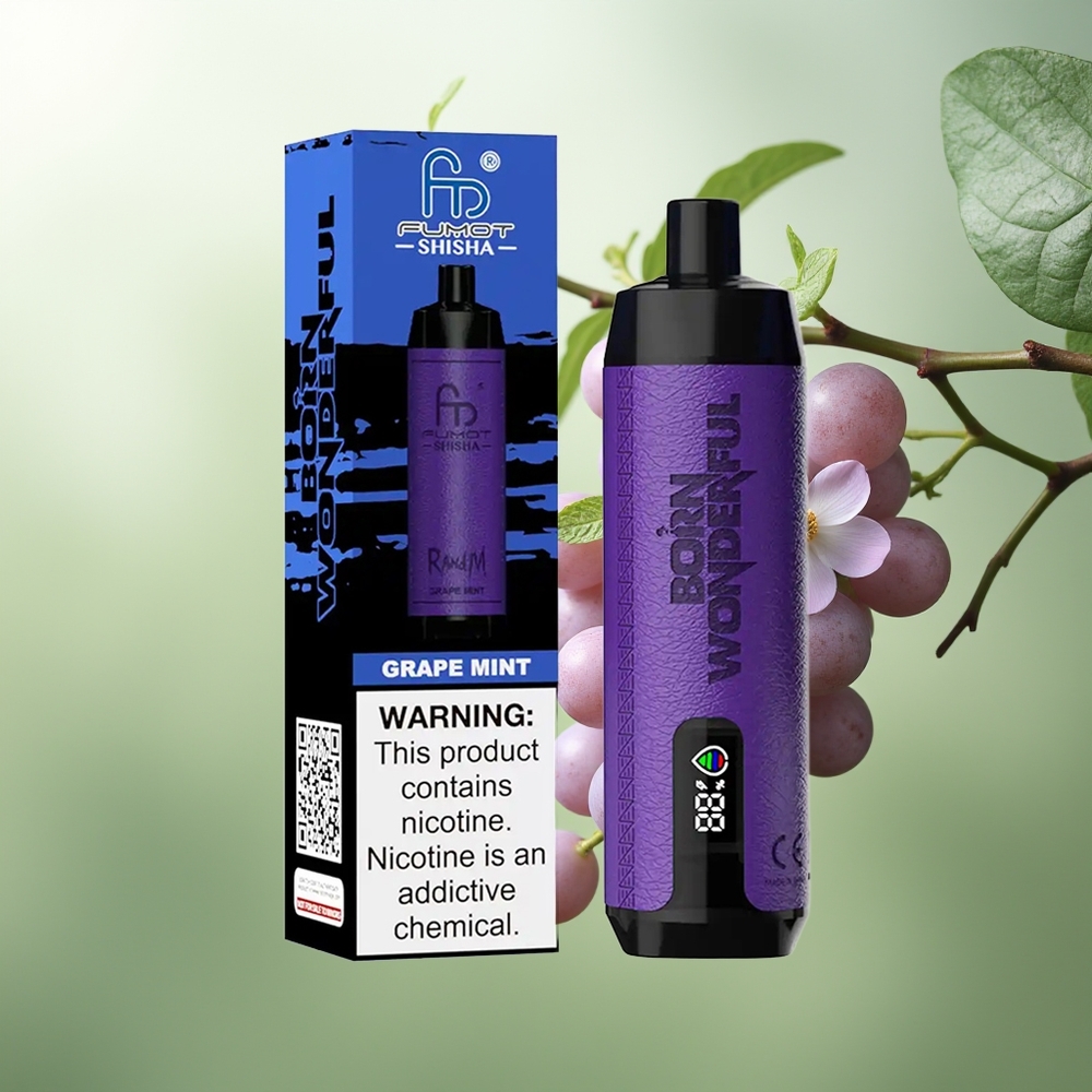 Wholesale Pakistan RandM Fumot Shisha 10000 Puffs Disposable Vape Grape Mint 5mg/ml Nicotine Contain