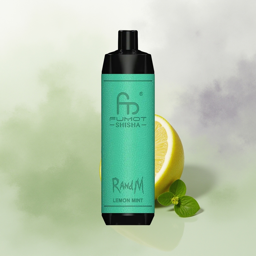Wholesale Pakistan RandM Fumot Shisha 10000 Puffs Disposable Vape Lemon Mint 5mg/ml Nicotine Contain