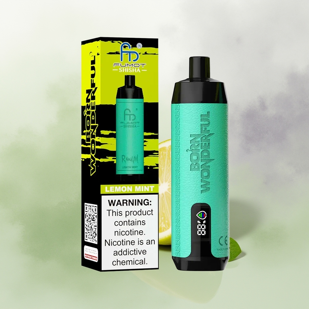 Wholesale Pakistan RandM Fumot Shisha 10000 Puffs Disposable Vape Lemon Mint 5mg/ml Nicotine Contain
