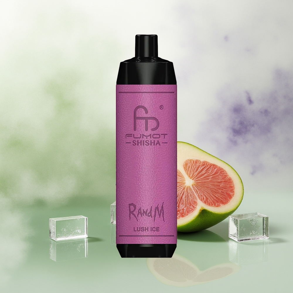 Wholesale Pakistan RandM Fumot Shisha 10000 Puffs Disposable Vape Lush Ice 5mg/ml Nicotine Contain